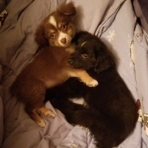 Meet your Posher, Jenny